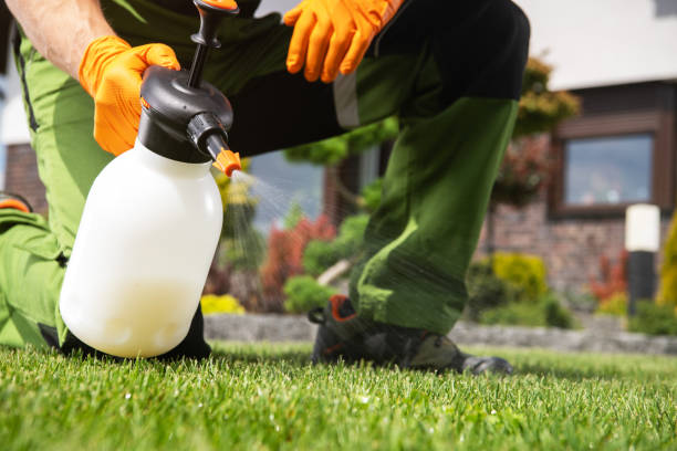  Linthicum, MD Pest Control Pros