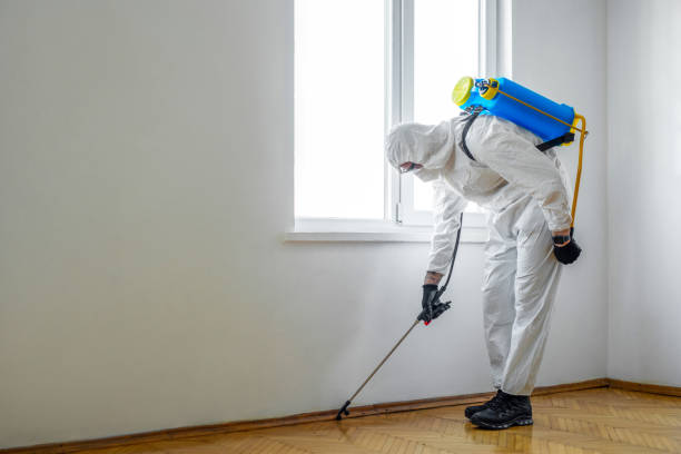 Best Mosquito Control Services  in Linthicum, MD