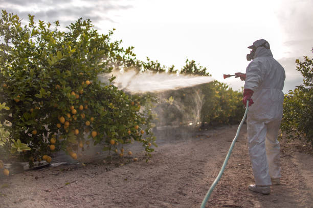 Best Bed Bug Extermination  in Linthicum, MD