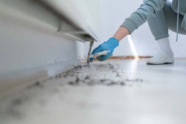 Best Commercial Pest Control Services  in Linthicum, MD