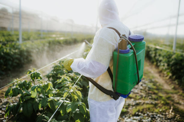 Best Flea Control Services  in Linthicum, MD